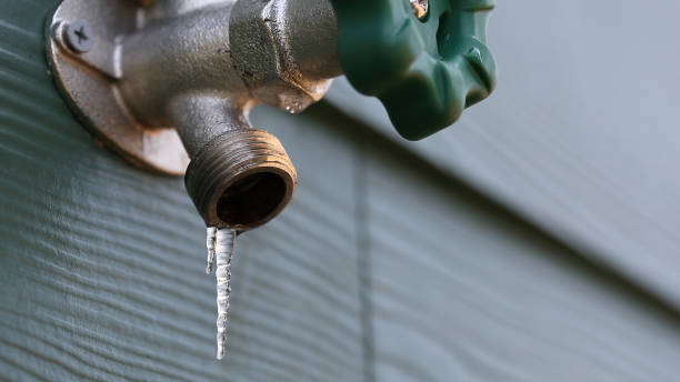 Best Plumbing Services Near Me  in Seven Mile, AZ